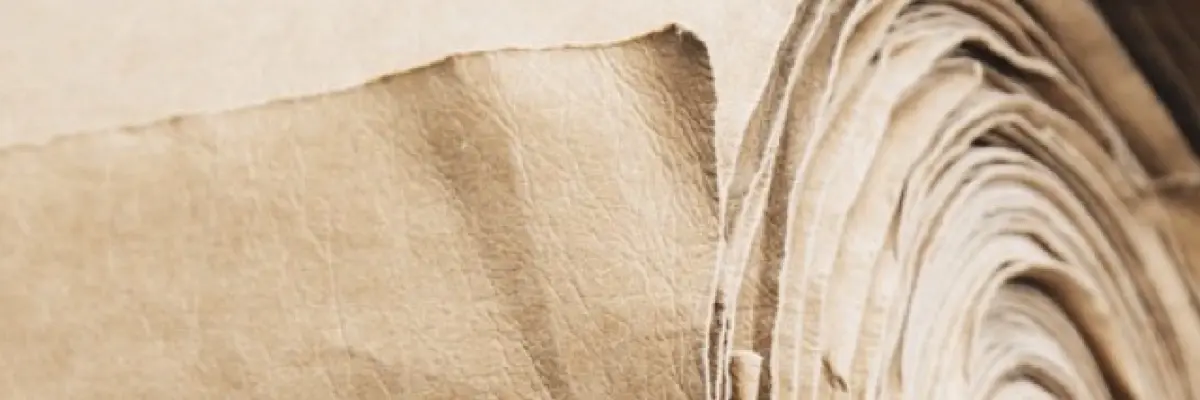 You are currently viewing Paper Vegan Friendly Vegetarian Leather