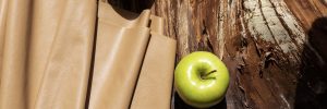 Read more about the article Appleskin Vegan Friendly Vegetarian Leather